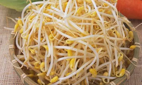 Cách hay làm giá đỗ đơn giản đủ cho cả nhà ăn trong 3 ngày