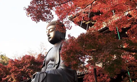 Hãy tự giới cấm mình làm 3 điều này, họa rời xa, phúc tự đến