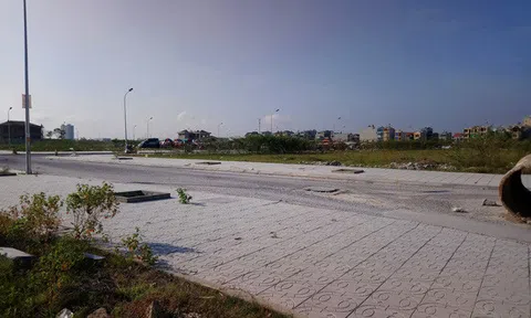 Bắt 2 nghi phạm thành lập công ty lừa bán đất, chiếm hơn 60 tỷ đồng