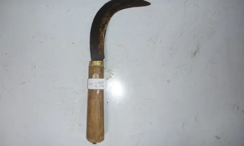 Bắt giữ nam thanh niên dùng liềm chém chết người