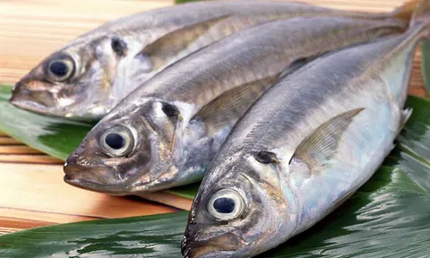 Mẹo chọn cá tươi ngon bà nội trợ nào cũng nên biết