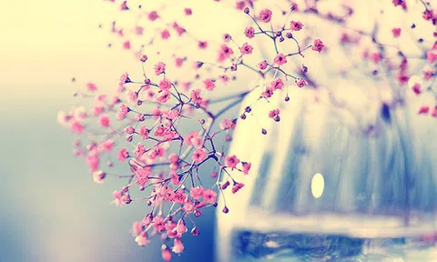 20 câu nói sâu sắc có thể thay đổi cuộc đời bạn