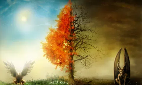 3 câu chuyện ý nghĩa về nhân sinh, đọc xong mọi người đều bừng tỉnh