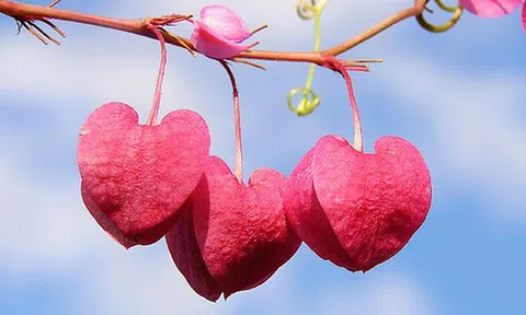 20 câu nói cực hay và ý nghĩa về cuộc sống, bạn nên đọc