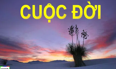 Ở đời không cần cố giải thích bản thân mình với bất kỳ ai 