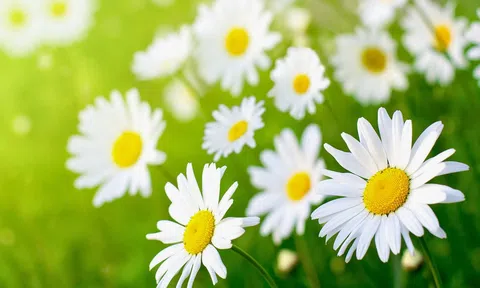 10 câu nói giúp bạn tỉnh ngộ và sống khôn ngoan hơn