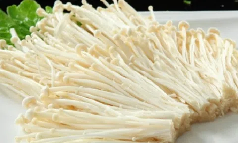 Cách tự trồng nấm kim châm tại nhà vừa đơn giản lại an toàn