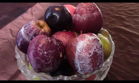 Dội nước nóng lên quả táo, cách hay nhất để kiểm tra `táo độc`