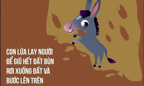 Câu chuyện chú lừa rơi đáy giếng và bài học về cách vượt qua khó khăn