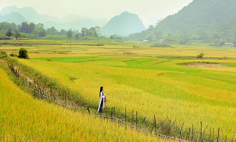 ‘Vì sao bây giờ ít người tử tế’? Câu trả lời hóa ra đơn giản đến vậy…