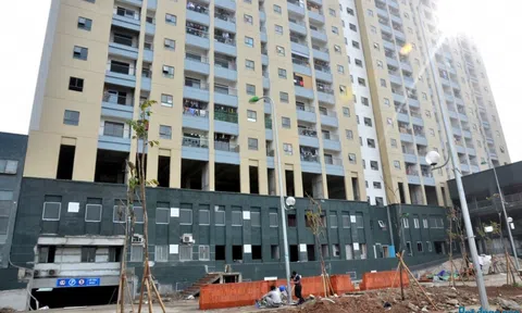 Phúc Hà Group: Sai phạm chồng sai phạm