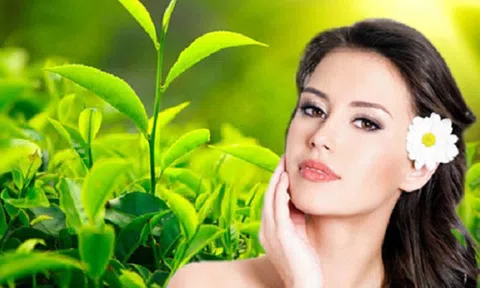 Lợi ích tuyệt vời của trà xanh trong làm đẹp