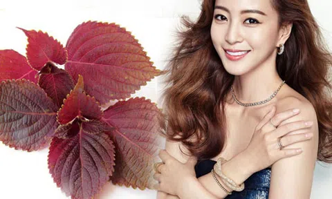 Chỉ cần 1 nắm lá tía tô làm theo cách này mụn thịt quanh mắt sẽ biến mất 