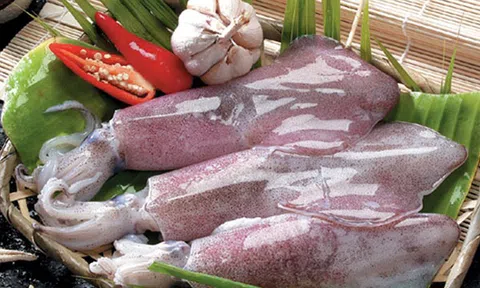 Cách chọn mực tươi ngon chị em nội trợ cần biết