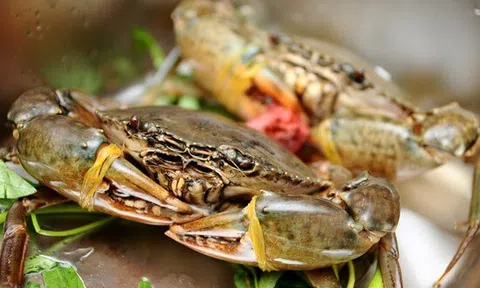 Mẹo chọn cua biển tươi ngon, chắc thịt, các mẹ nên biết