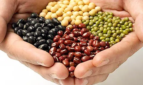 3 loại đậu đánh bay trứng cá, dưỡng trắng da không tỳ vết