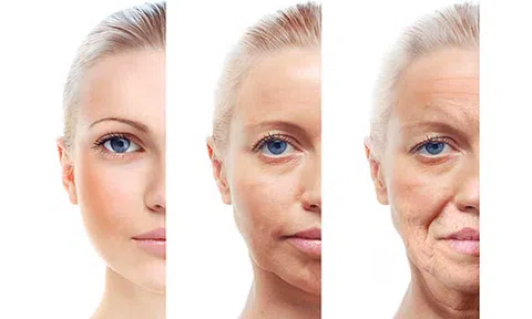 Bật mí bí quyết ngăn ngừa lão hóa da cho phái đẹp