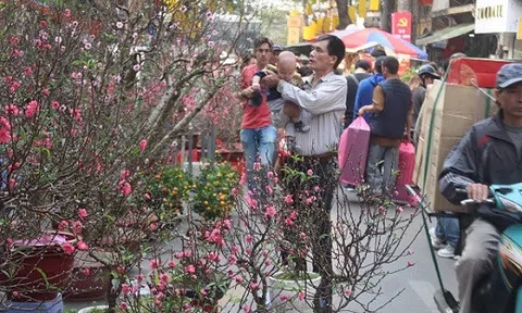 Chợ hoa truyền thống Hàng Lược nhộn nhịp những ngày cận Tết