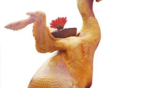 Cách luộc gà cúng cánh tiên vàng óng, dáng đẹp cho mâm cỗ ngày Tết