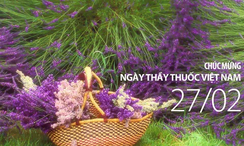 Những lời chúc ý nghĩa nhất cho ngày Thầy thuốc Việt Nam 27/2