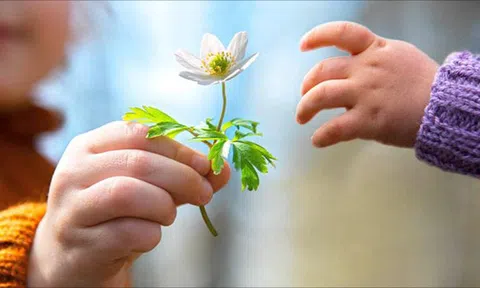 Cuộc sống thật đẹp nếu ta đừng chỉ biết nhận về, hãy học cách cho đi trước