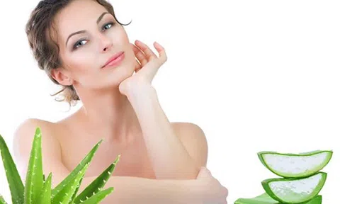 4 lợi ích tuyệt vời của nha đam đối với làm đẹp