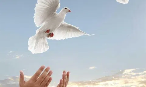 Bật mí 5 cách hóa giải vận xui