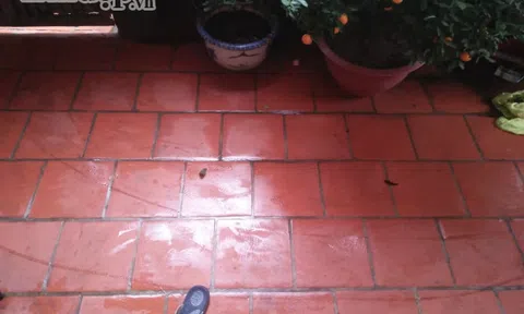 Nhiều người muốn \"phát điên\" vì kiểu thời tiết nồm ẩm, trong nhà ngoài sân chỗ 