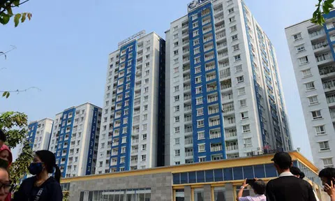 Từ kết luận vụ cháy Carina nhìn nhận cái tâm trong kinh doanh:Lợi nhuận hay đường dài