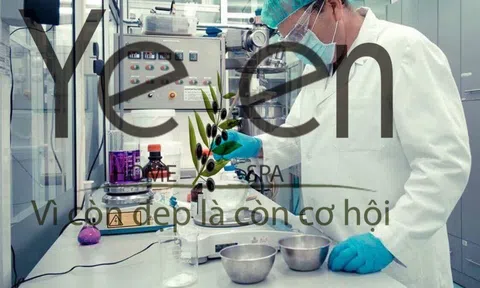 CEO Trần Hồng Bảo Yến: 9X sở hữu thương hiệu mỹ phẩm nổi tiếng – YeenHomespa