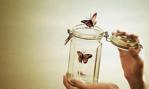 Chỉ cần buông bỏ những điều này chúng ta sẽ được nhiều hơn là mất