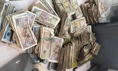 Vợ chồng già 78 tuổi chở bao tải tiền gửi tiết kiệm: Hy hữu ở Quảng Bình