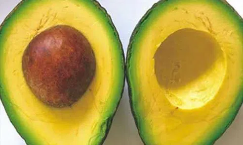 Tuyệt chiêu chọn bơ thơm ngon, béo ngậy