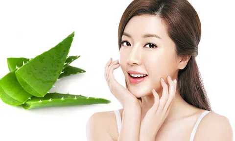 Bật mí cho chị em 3 công thức trắng da bằng nha đam 