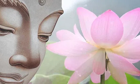 Điểm danh 7 loại hành vi làm hao tổn phúc báo khiến gia đình luôn gặp tai ương