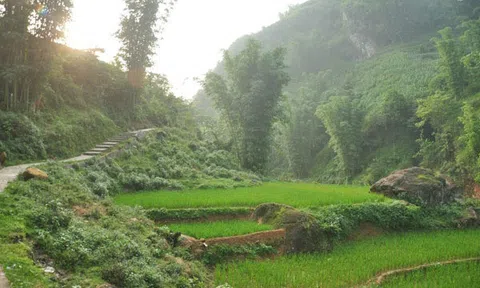 Cảm động bức thư bố viết cho con trai khi biết con đỗ tốt nghiệp