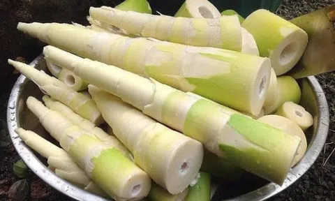 Những người không nên ăn nhiều măng