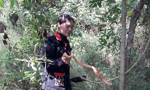 Hé lộ cách chữa bệnh xương khớp không cần phẫu thuật của người dân tộc