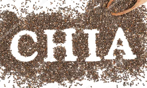 7 loại thực phẩm giàu chất béo thực sự tốt cho bạn