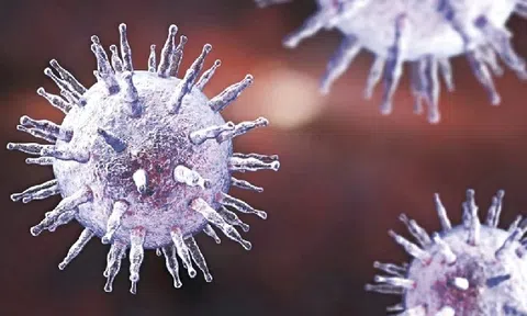 Hiểm họa từ những nụ hôn