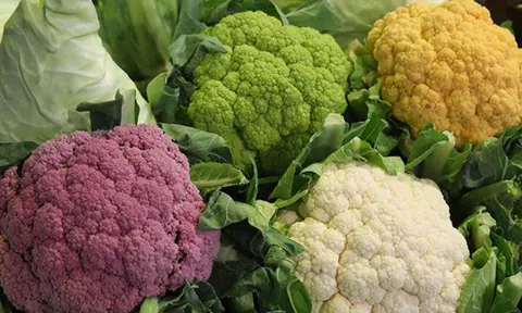 Lợi ích tuyệt vời từ các loại rau họ cải đối với sức khỏe