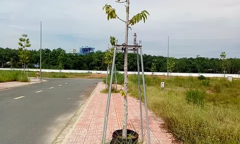 Bình Dương: Kịch cỡm chuyện đất công suýt thành... “Hồn Trương Ba - Da hàng thịt”