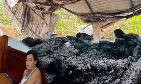 Đại gia phố núi Hà Tĩnh khóc ngất vì kho gỗ hương 17 tỷ cháy thành than