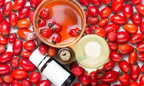 Lợi ích tuyệt vời của trà tầm xuân