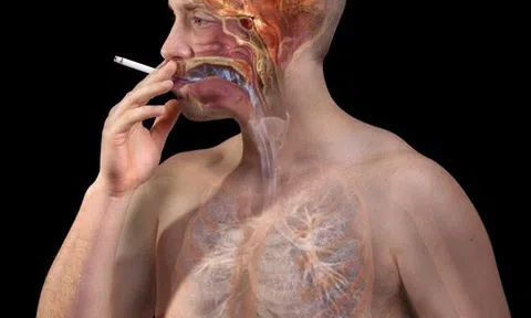 Thay vì hút thuốc lá vào sáng sớm, hãy uống ly nước ấm