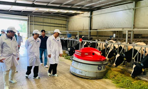 Resort bò sữa Tây Ninh là hạt nhân để xây dựng vùng chăn nuôi bò sữa an toàn
