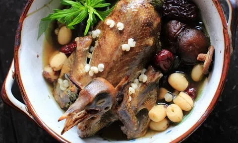 Cách làm chim bồ câu hầm hạt sen giữ nguyên chất tẩm bổ cho người ốm