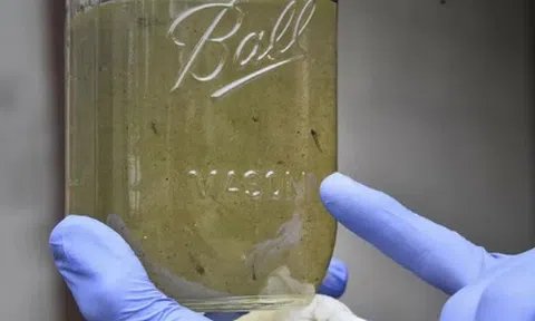 Vi nhựa trong nước uống có gây nguy cơ cho sức khỏe không?