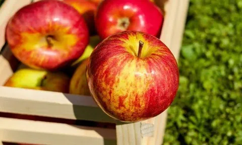 9 thực phẩm tự nhiên thanh lọc thận