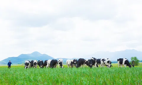 Vinamilk gia nhập “Câu lạc bộ tỷ đô” của khu vực Châu Á Thái Bình Dương